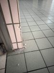 校長室門口磁磚壞掉